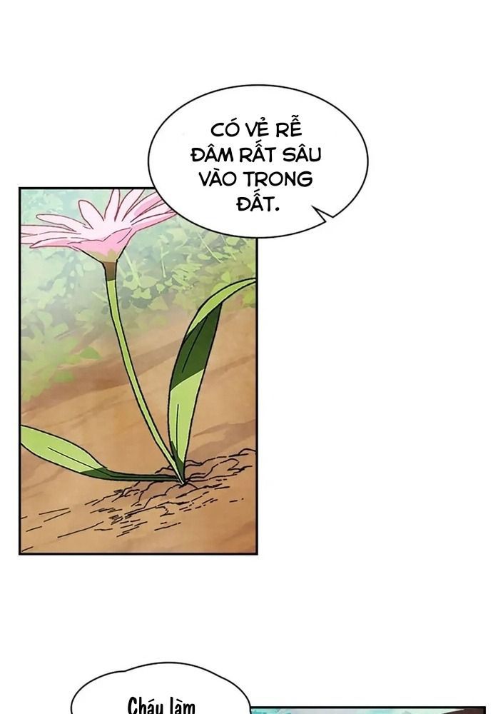 Sự Trở Lại Của Chiến Thần Chapter 7 - 25