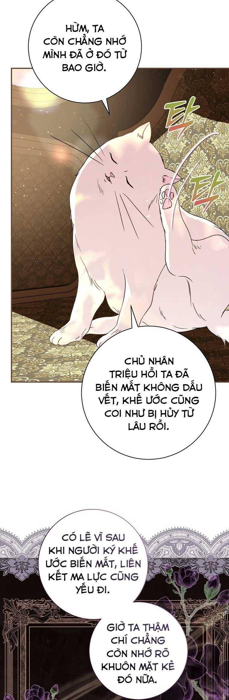 Này Boss Phản Diện, Tôi Có Thể Làm Mọi Thứ Trừ Cưới Ngài Chapter 10 - 5