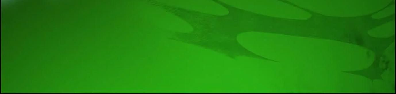 Thập Nhị Tinh - Dị Thú Mê Thành Chapter 74 - 38