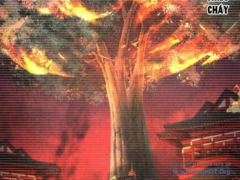 Hoá Ra Ta Là Lão Tổ Ma Đạo? Chapter 102 - 32