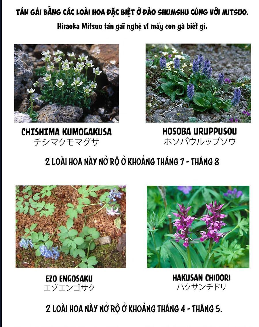 Anh Hùng Nơi Tận Cùng Phương Bắc. Chapter 4 - 29