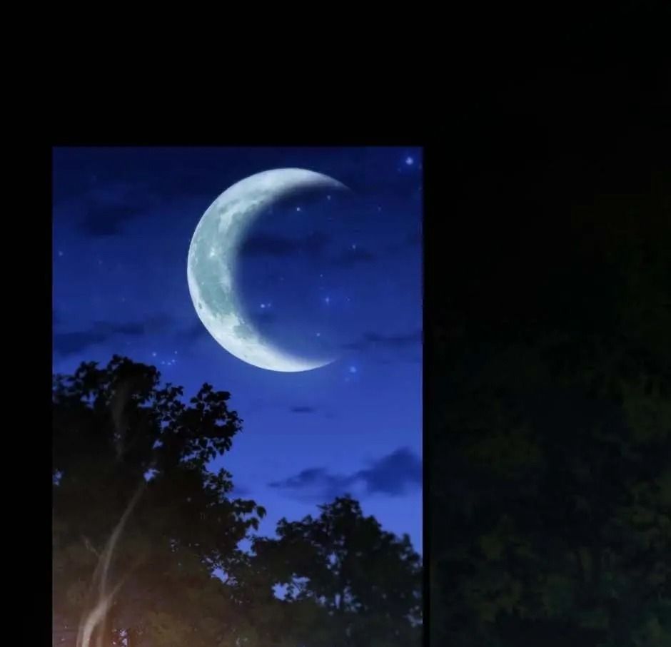 Hệ Thống Thăng Cấp Thành Thần Chapter 6 - 57