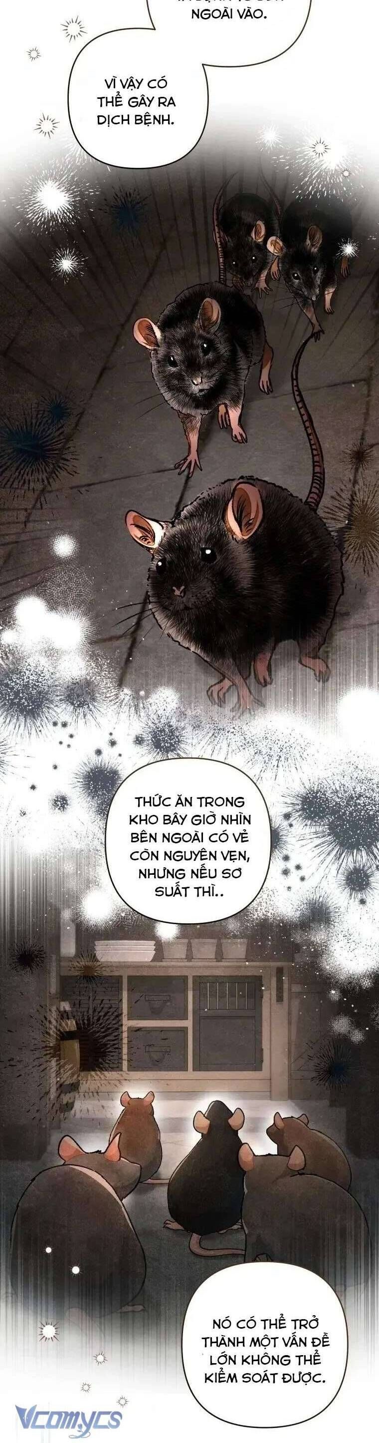 Trở Thành Hầu Gái Còn Hơn Làm Công Chúa Chapter 35 - 23