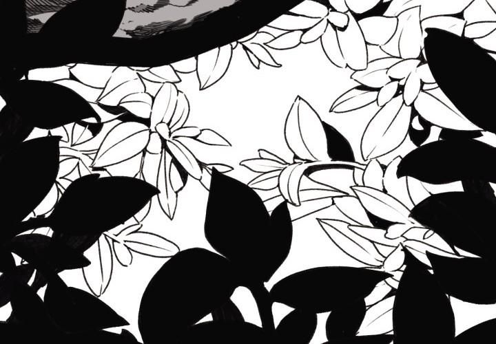 Hoàn Ác Vương Quyền Và Tự Do Chapter 11 - 88