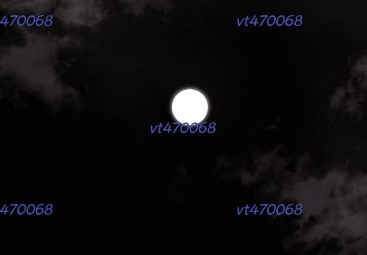 Hoàn Ác Vương Quyền Và Tự Do Chapter 12 - 61