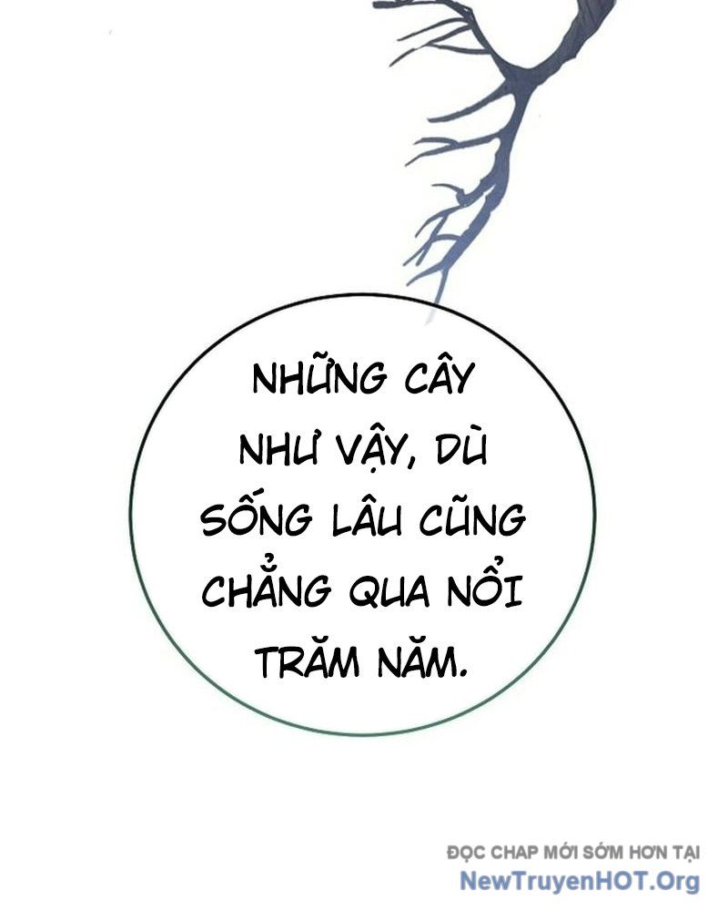 Hồi Sinh Huyết Mạch Nam Cung Chapter 20 - 33