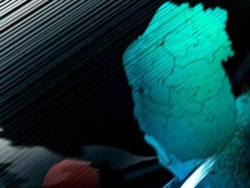 Thực Thi Công Lý Chapter 2 - 156