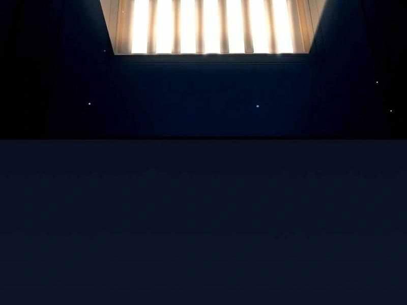 Thực Thi Công Lý Chapter 2 - 521