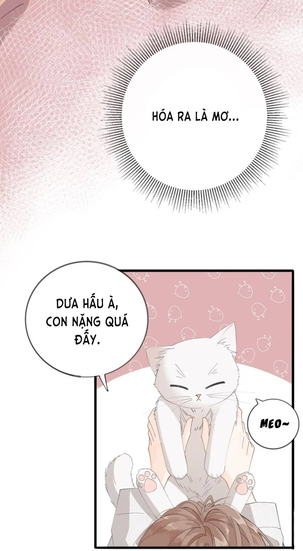 Chị Gái Lại Toang Nữa Rồi Chapter 1 - 9