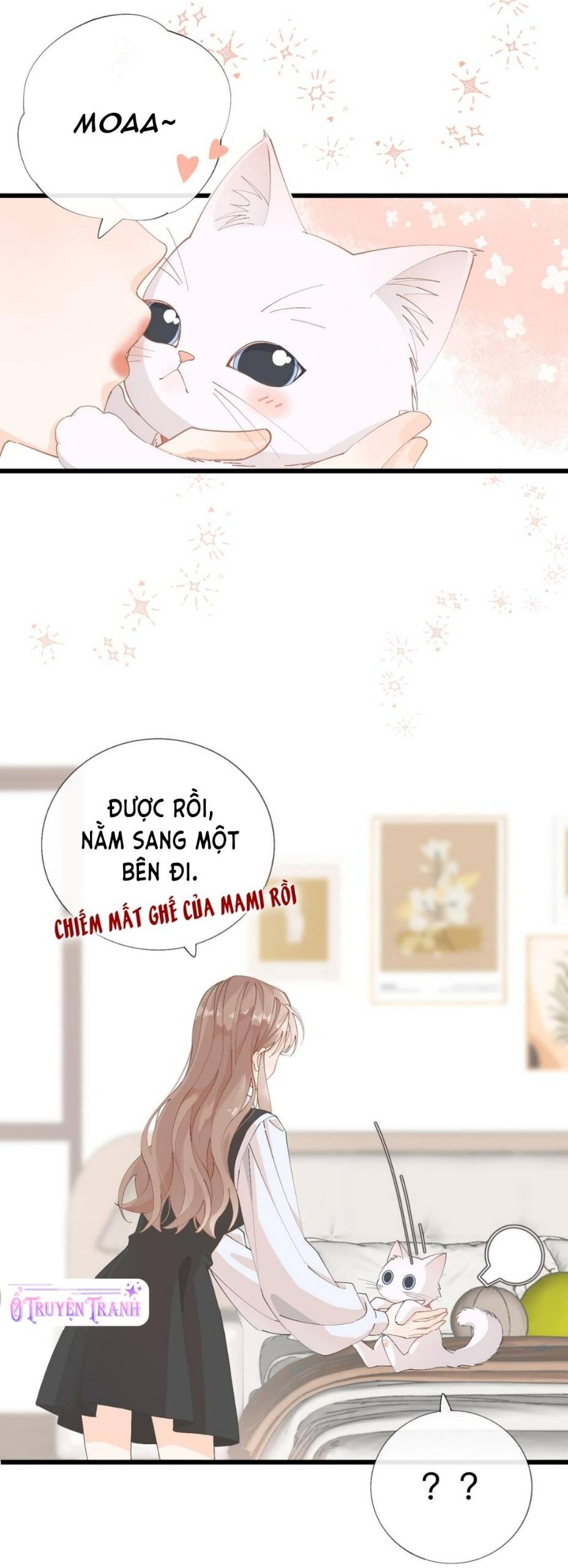 Chị Gái Lại Toang Nữa Rồi Chapter 2 - 6