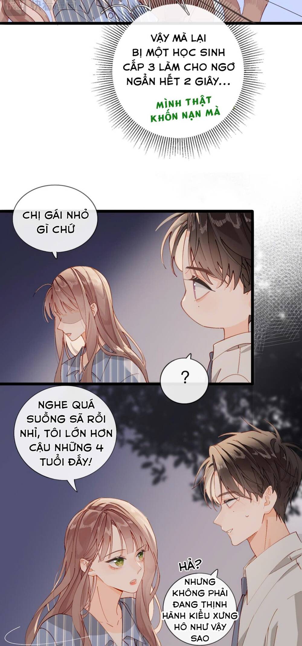 Chị Gái Lại Toang Nữa Rồi Chapter 6 - 6
