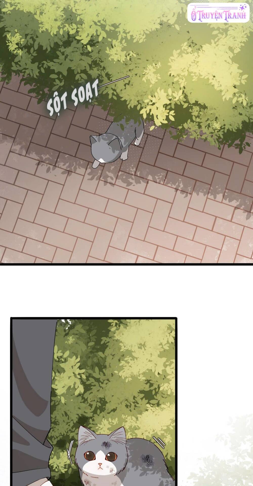 Chị Gái Lại Toang Nữa Rồi Chapter 8 - 9