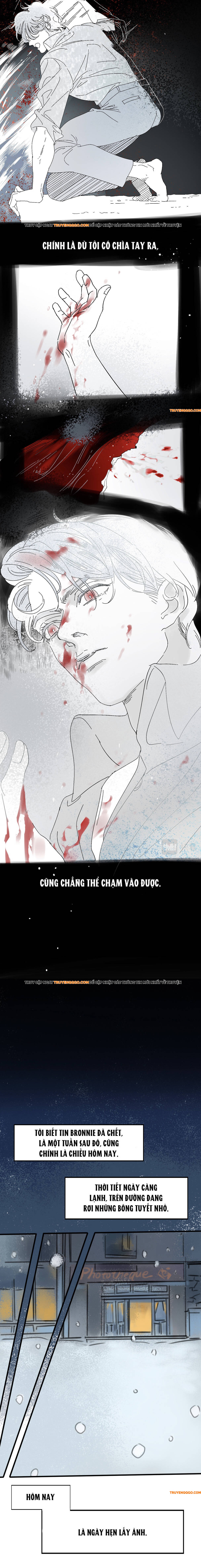 Bi Kịch Nàng Dâu Hoa Hồng Chapter 1 - 11