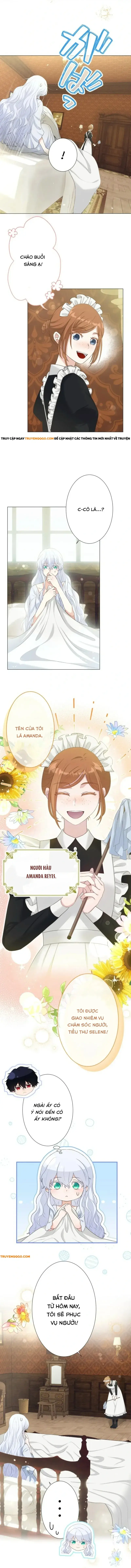 Thánh Nữ Mong Ước Cái Chết Với Hoàng Tử Bị Quyền Rủa Chapter 9 - 3