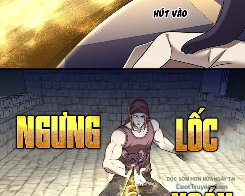 Cái Bóng Của Ta Là Loli Chapter 46 - 66