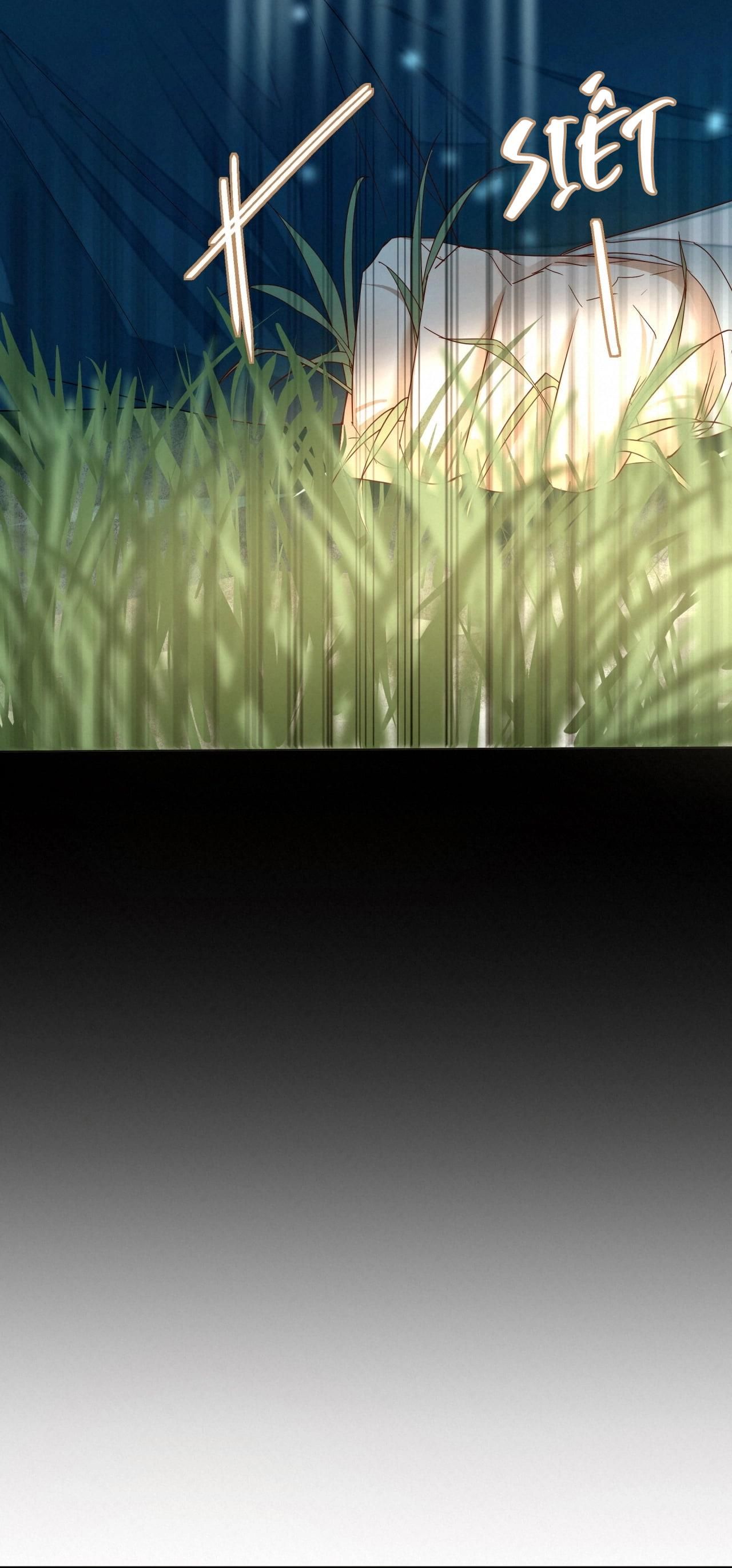 Trỗi Dậy Từ Tro Tàn Chapter 16 - 11