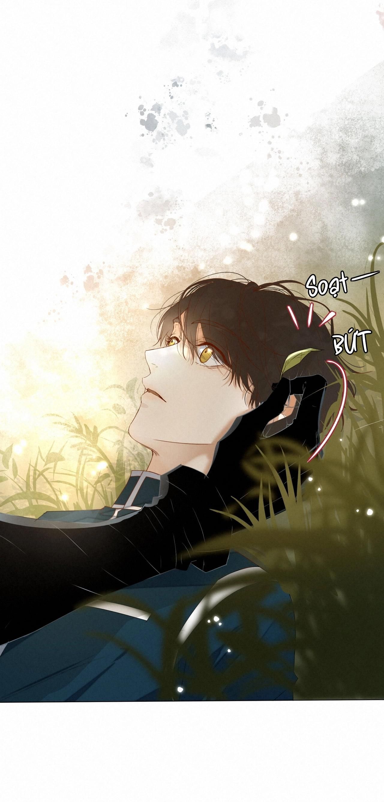 Trỗi Dậy Từ Tro Tàn Chapter 16 - 6