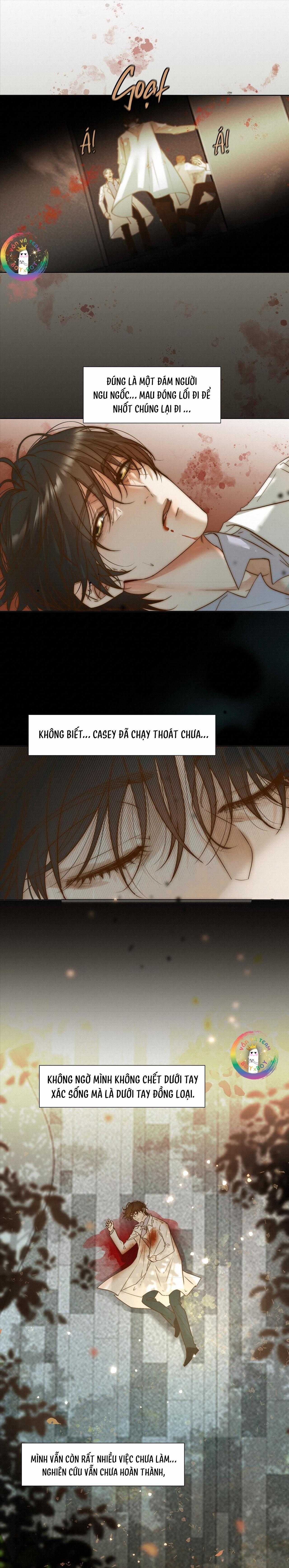 Trỗi Dậy Từ Tro Tàn Chapter 50 - 5