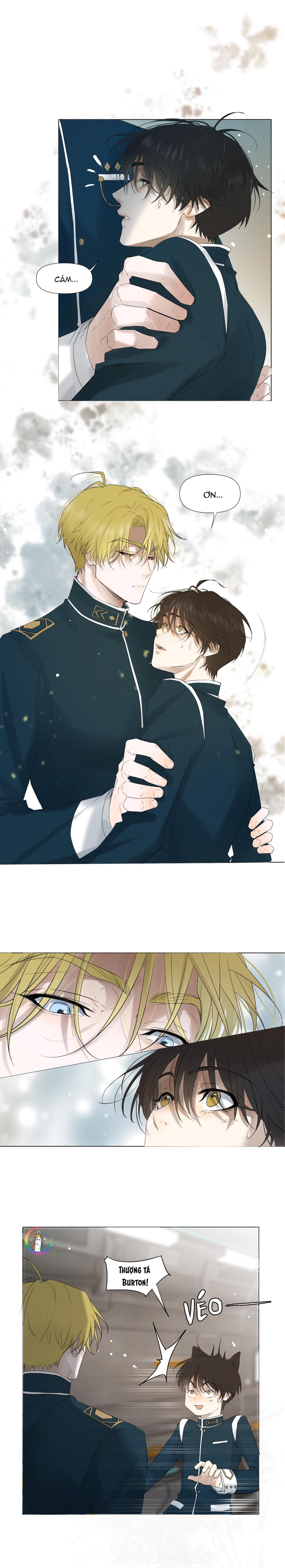 Trỗi Dậy Từ Tro Tàn Chapter 6 - 13