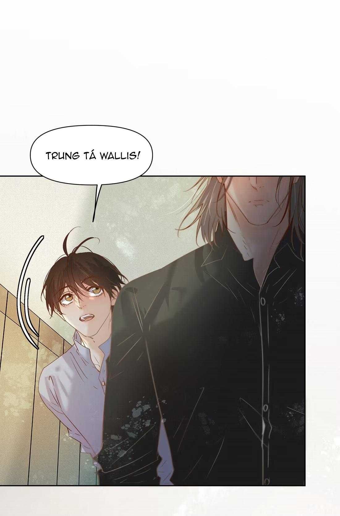 Trỗi Dậy Từ Tro Tàn Chapter 96 - 11