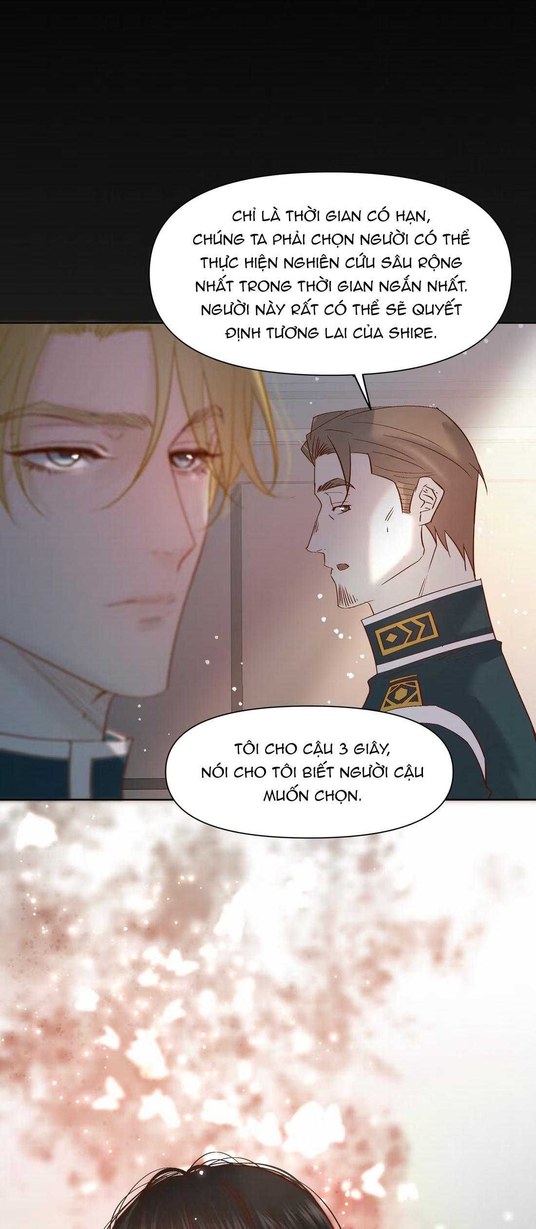 Trỗi Dậy Từ Tro Tàn Chapter 96 - 41