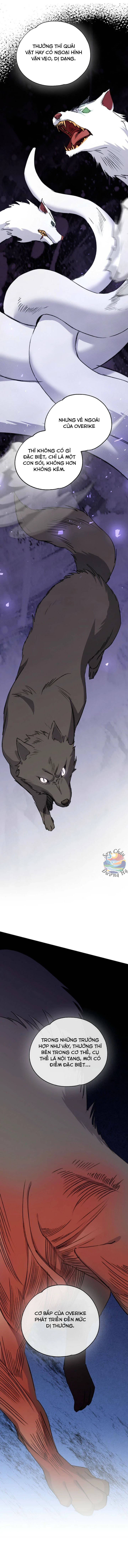 Đại Ma Quỷ Thanh Không Chapter 17 - 15