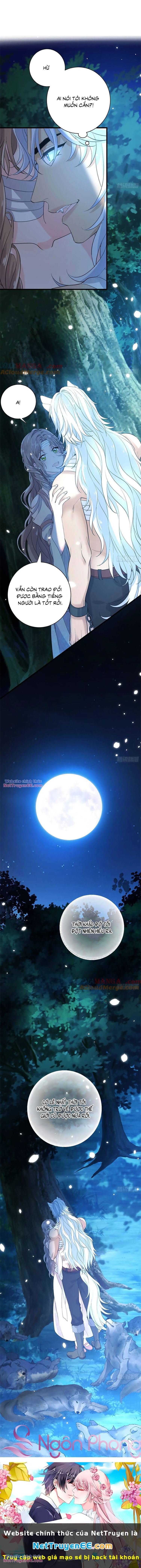 Trăng Tròn Chia Hoan Chapter 20 - 8