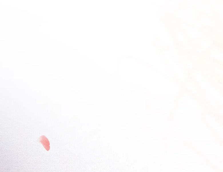 Husky Và Sư Tôn Mèo Trắng Của Hắn Chapter 13 - 41