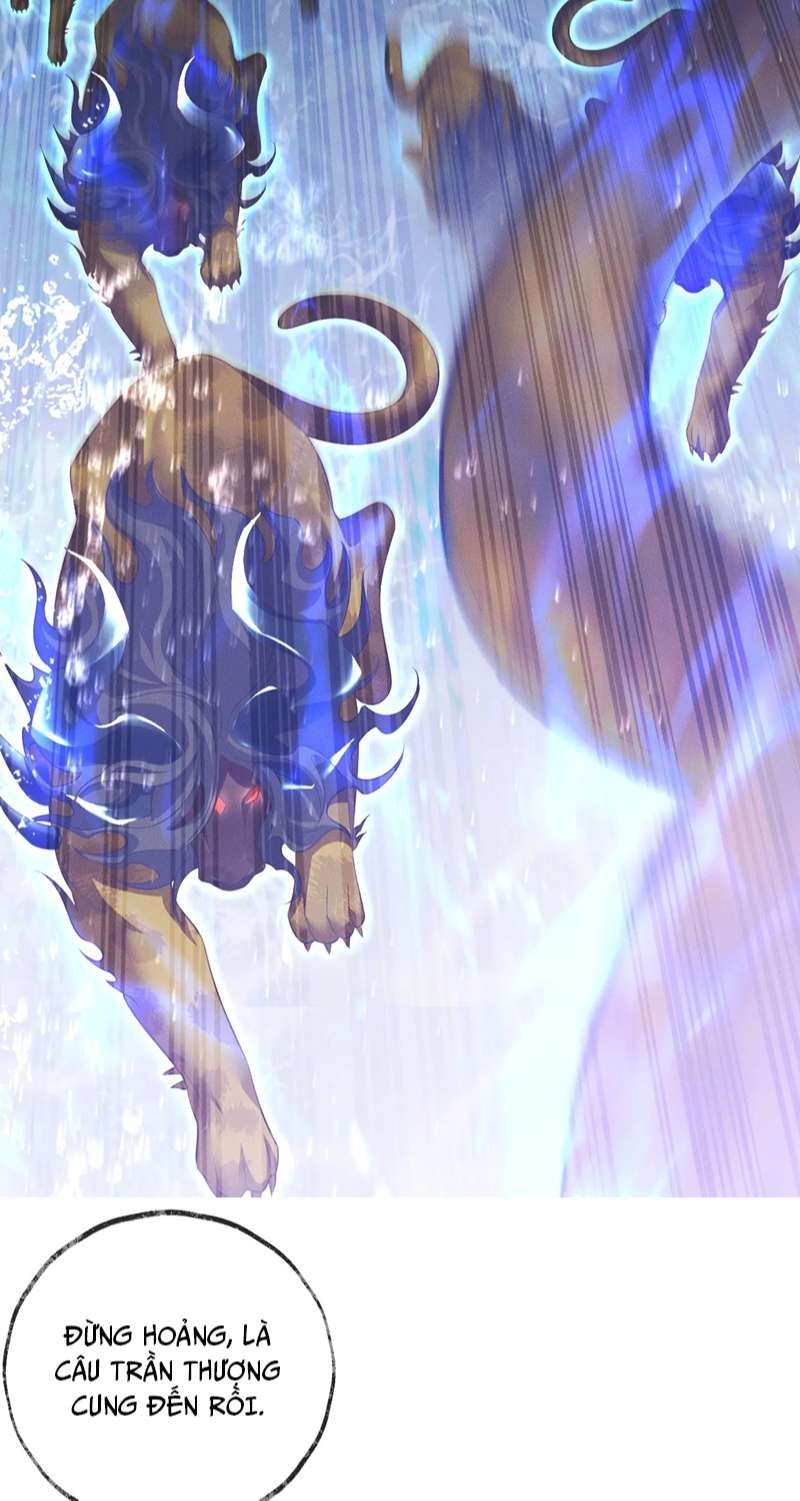 Husky Và Sư Tôn Mèo Trắng Của Hắn Chapter 48 - 24