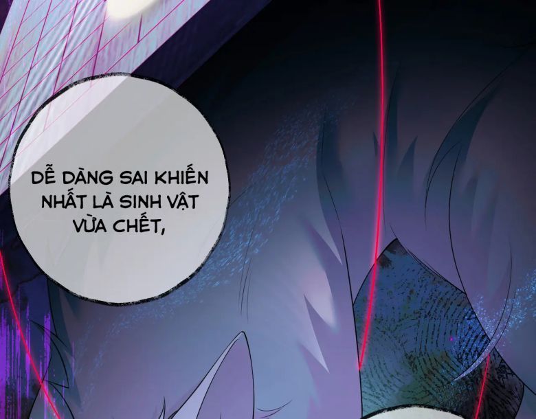Husky Và Sư Tôn Mèo Trắng Của Hắn Chapter 55 - 60