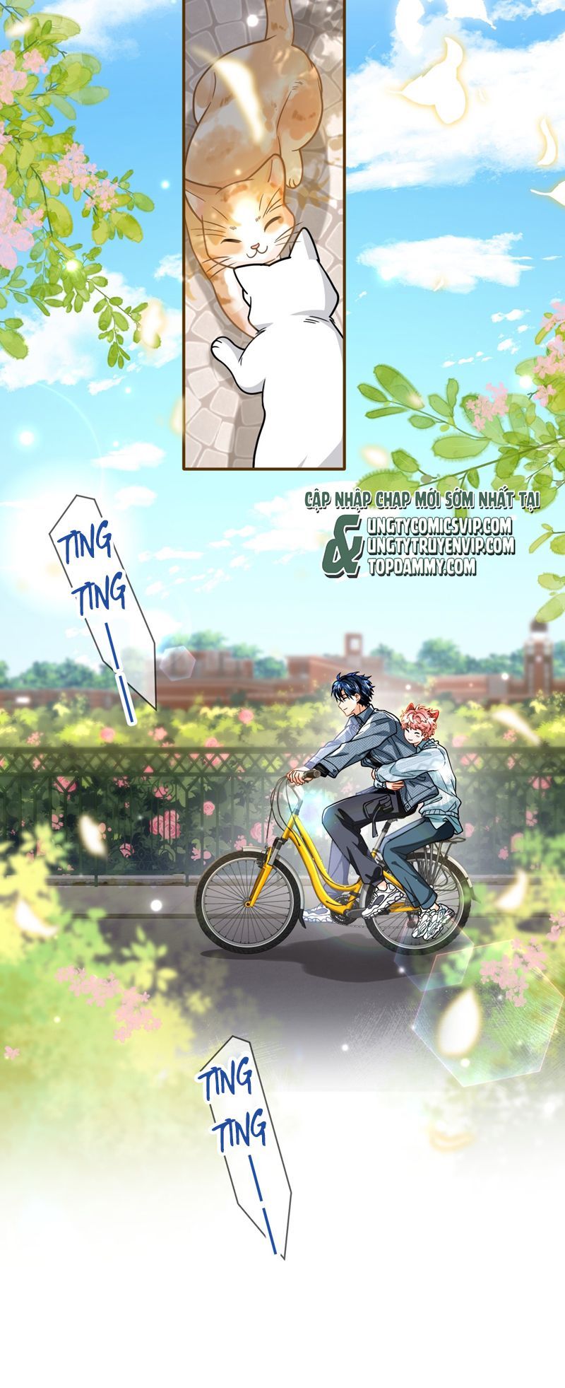 Tin Tức Tố Nói Chúng Ta Không Có Khả Năng Chapter 100 - 17