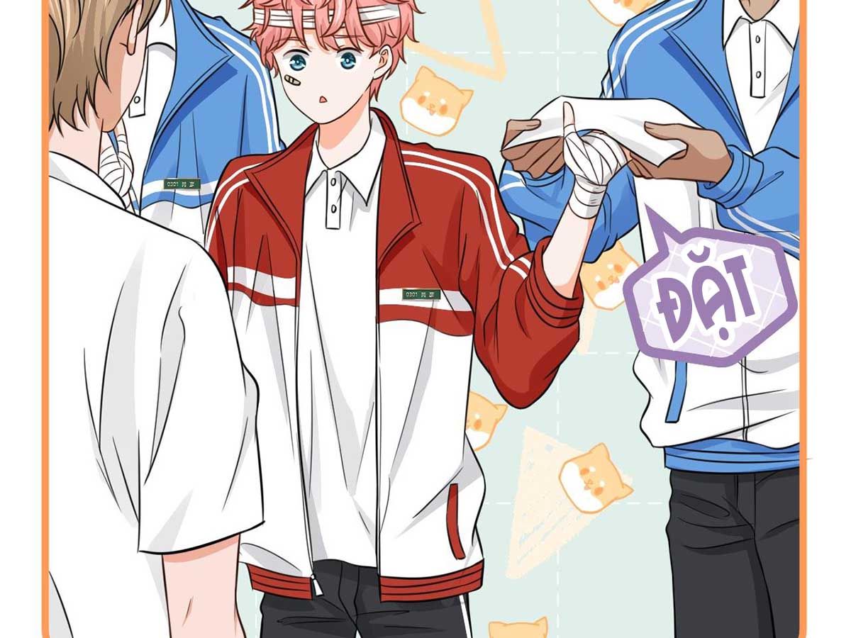 Tin Tức Tố Nói Chúng Ta Không Có Khả Năng Chapter 25 - 13