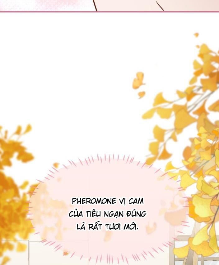 Tin Tức Tố Nói Chúng Ta Không Có Khả Năng Chapter 27 - 40