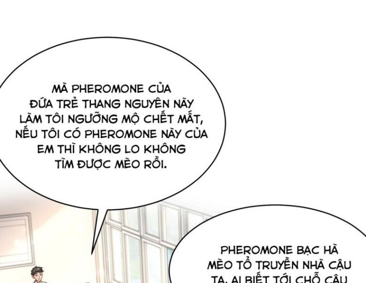 Tin Tức Tố Nói Chúng Ta Không Có Khả Năng Chapter 33 - 26