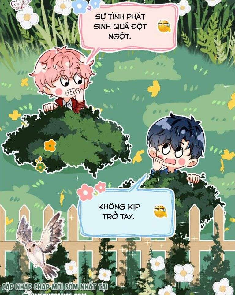 Tin Tức Tố Nói Chúng Ta Không Có Khả Năng Chapter 42 - 5