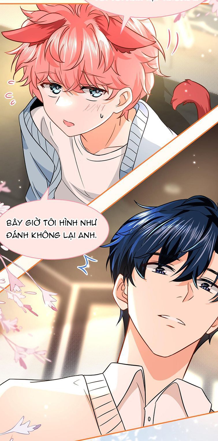 Tin Tức Tố Nói Chúng Ta Không Có Khả Năng Chapter 63 - 13