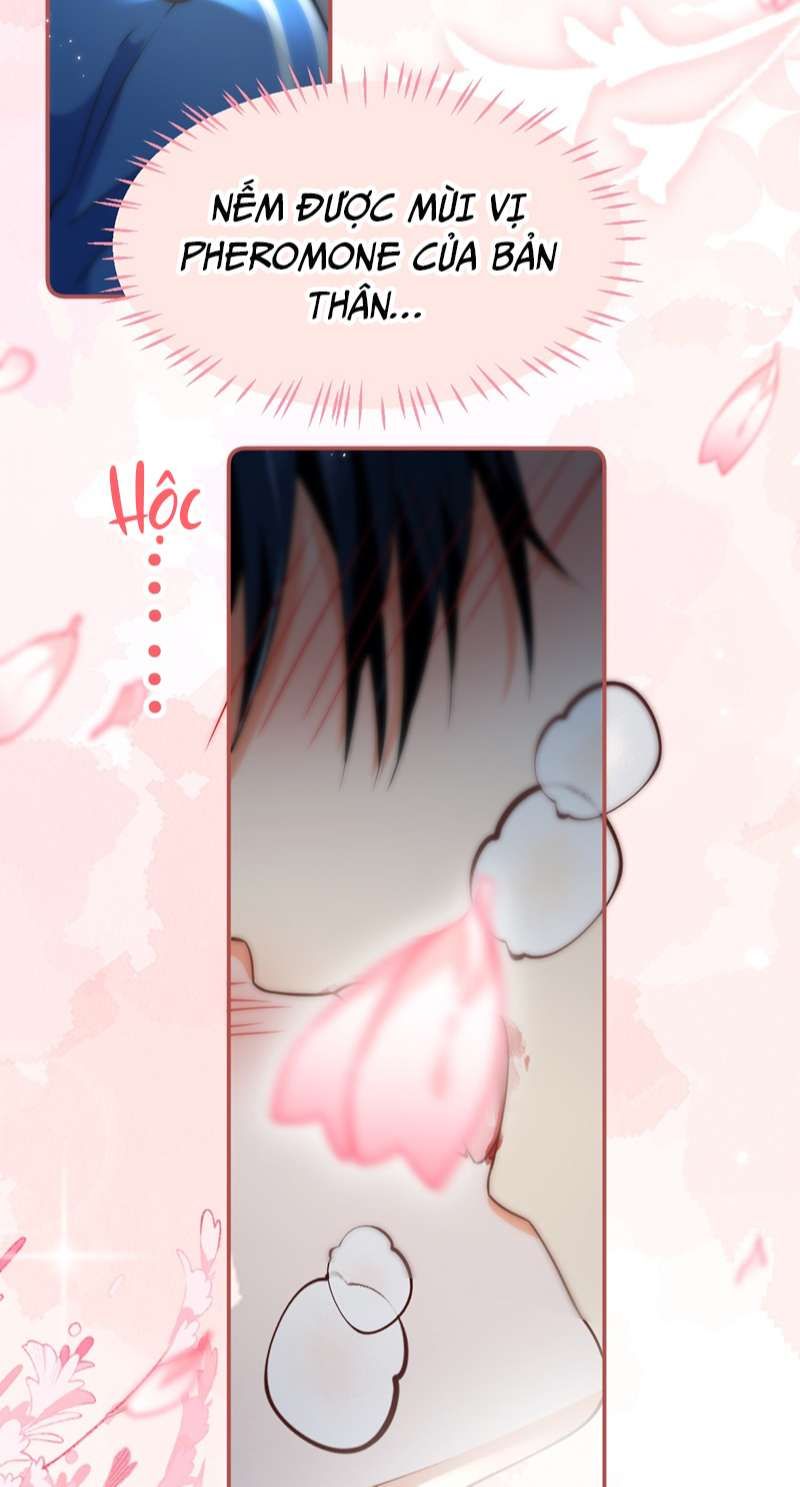 Tin Tức Tố Nói Chúng Ta Không Có Khả Năng Chapter 72 - 12