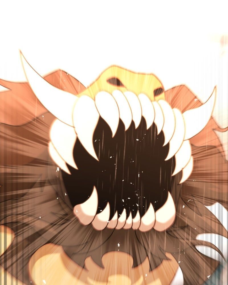 Lữ Khách Trên Mây Chapter 82 - 11