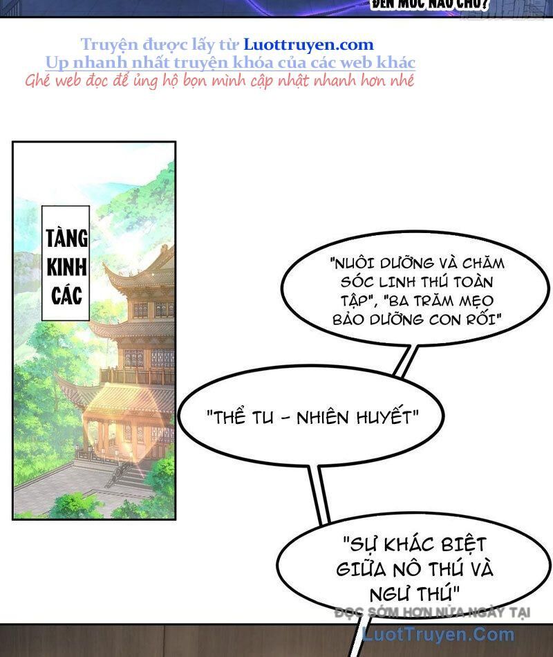 Sư Tỷ, Ta Không Muốn Cố Gắng! Chapter 15 - 13