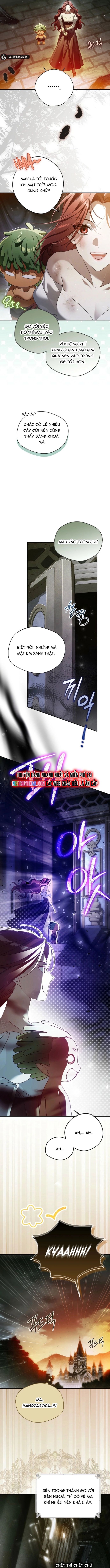 Hầu tước Maron Chapter 2 - 11