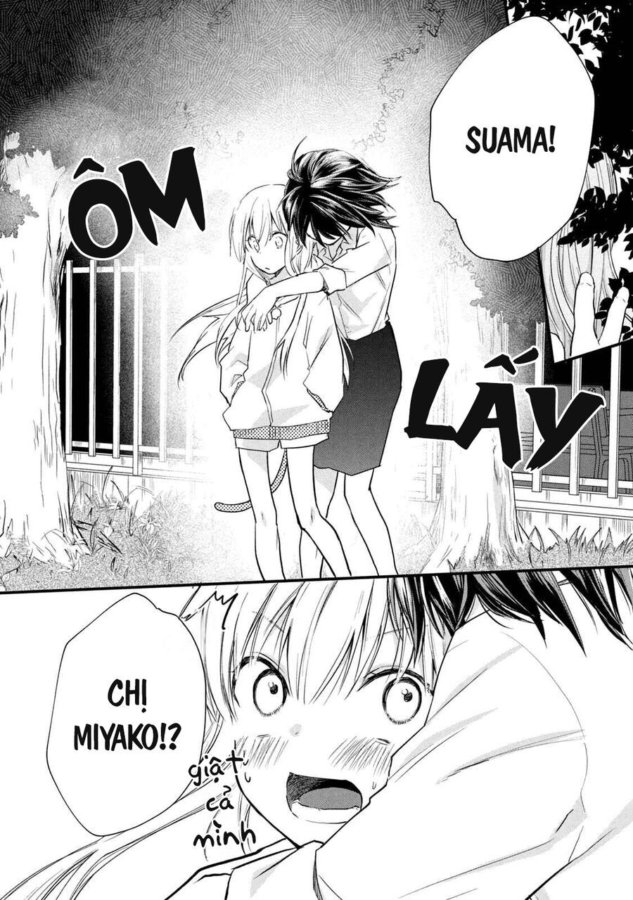 Bé Mèo Đang Chờ Tôi Ở Nhà Chapter 11 - 14