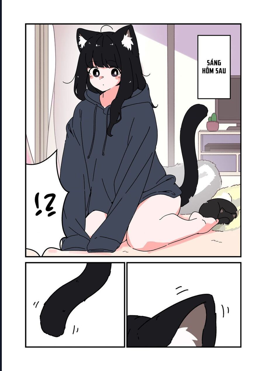 Câu Chuyện Về Con Mèo Đen Tự Nhiên Biến Thành Người. Chapter 1 - 2