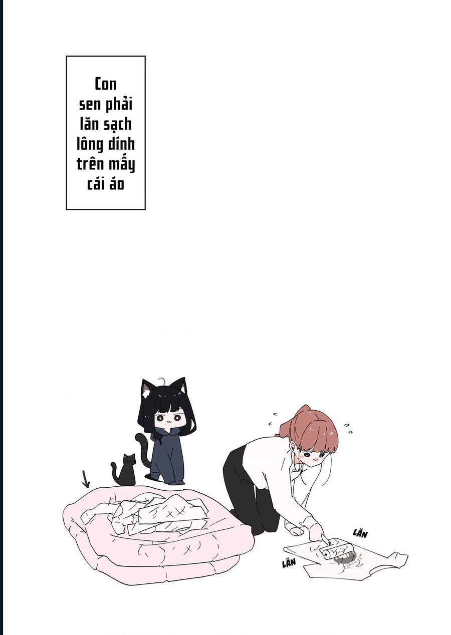 Câu Chuyện Về Con Mèo Đen Tự Nhiên Biến Thành Người. Chapter 3 - 6