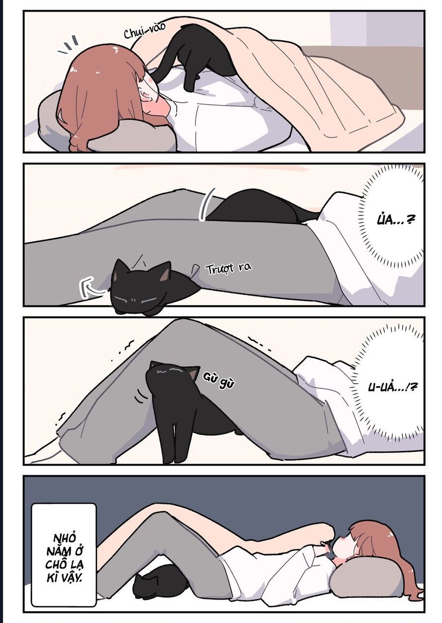 Câu Chuyện Về Con Mèo Đen Tự Nhiên Biến Thành Người. Chapter 5 - 2