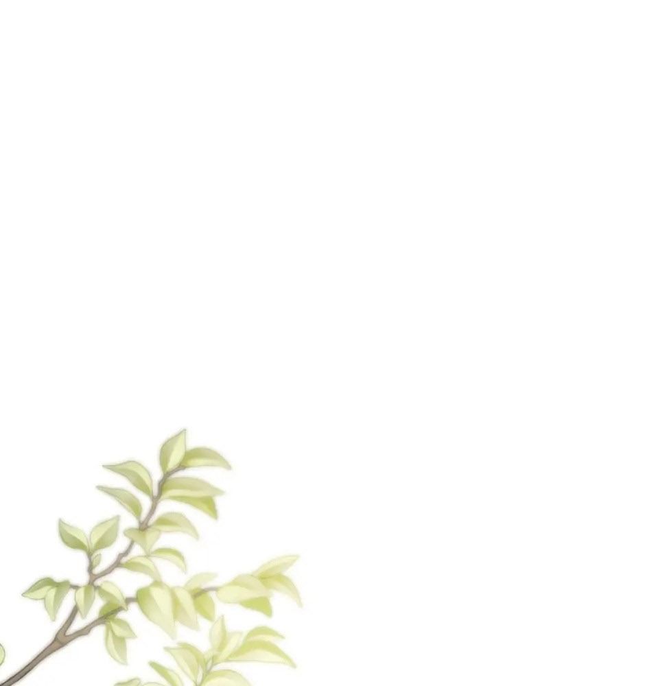 Lọ Lem Đã Mất Tích Chapter 60 - 27