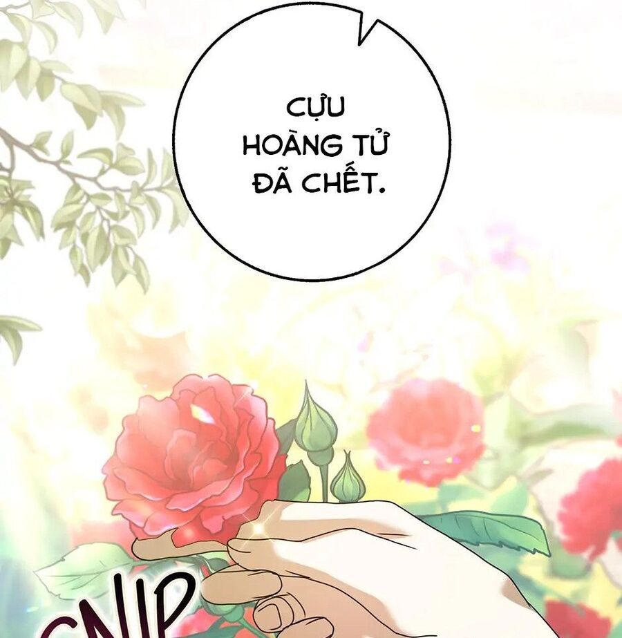 Lọ Lem Đã Mất Tích Chapter 62 - 29