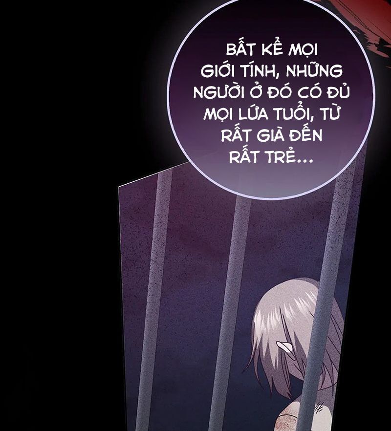 Lọ Lem Đã Mất Tích Chapter 67 - 77