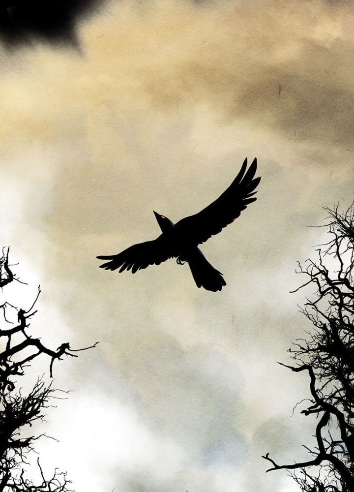 Học Viện Nevermore Chapter 1 - 6