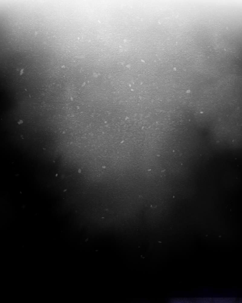 Học Viện Nevermore Chapter 10 - 2