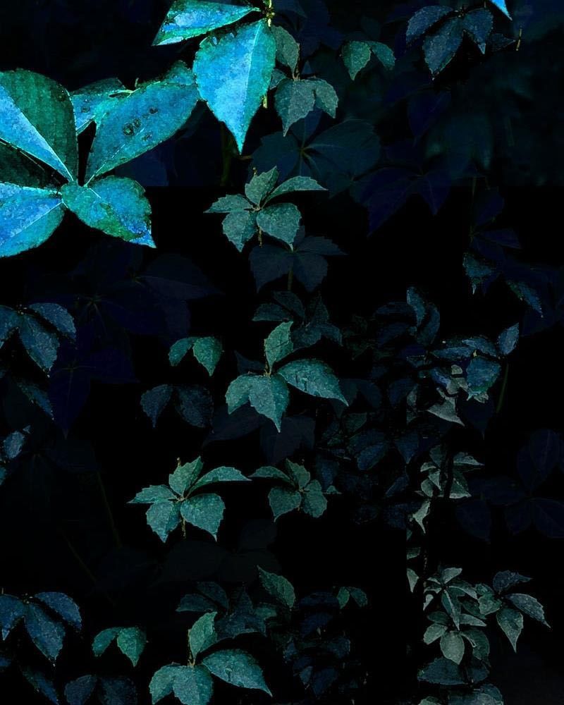 Học Viện Nevermore Chapter 16 - 67